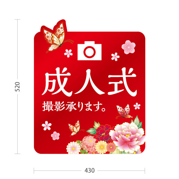スタンド看板 ノーマルタイプ 成人式 撮影承ります フラワーデザインPOPスタンド 写真館・フォトスタジオ向け 屋外使用可 S-10245-8