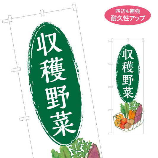 のぼり旗 収穫野菜 名入れ無料 S-1154-30