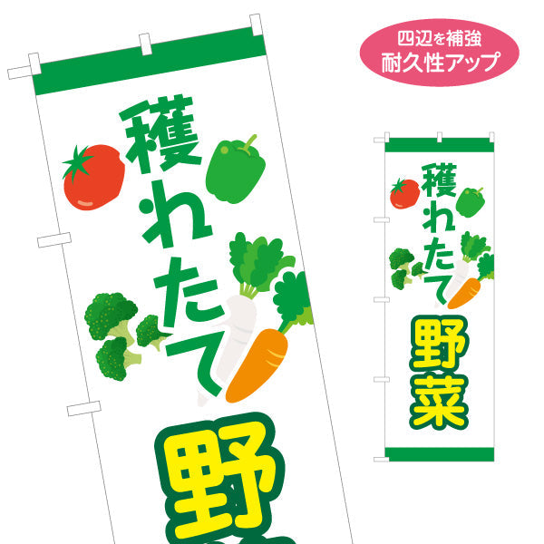 のぼり旗 獲れたて野菜 販売 農園 直売スペース 直売所 マルシェ 農家販売向け 名入れ無料 S-1154-31