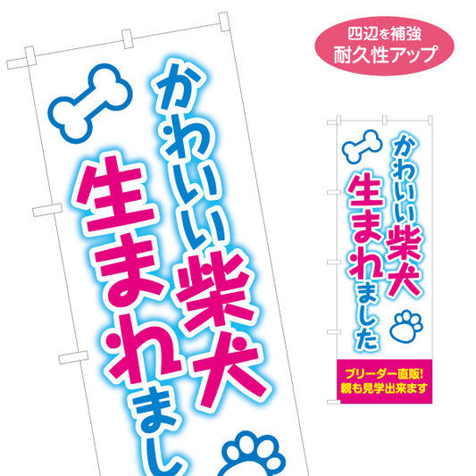 のぼり旗 かわいい柴犬 子犬生まれました ブリーダー直販 犬販売店向け 名入れ無料 S-1237-249