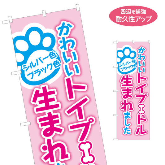 のぼり旗 かわいいトイプードル生まれました シルバー・ブラック 子犬販売 ペットショップ向け 名入れ無料 S-1237-265