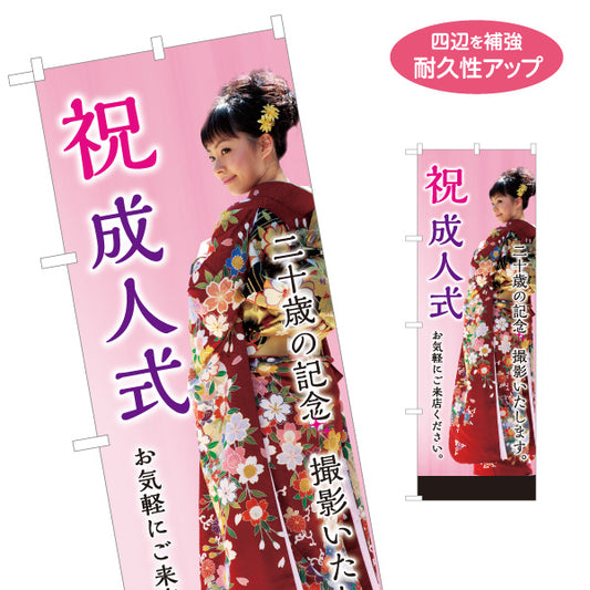 のぼり旗 祝成人式撮影 成人式前撮り 振袖撮影 写真スタジオ向け 選べるカラー 名入れ無料 S-1245-51