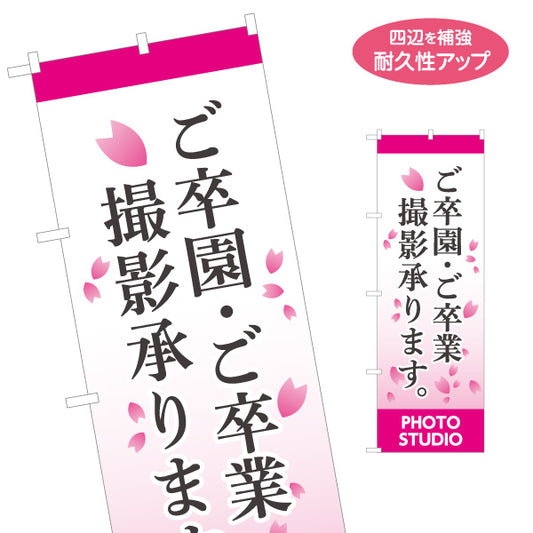 のぼり旗 ご卒園ご卒業 撮影承ります 記念撮影 写真スタジオ 卒業アルバム向け 名入れ無料 S-1245-9