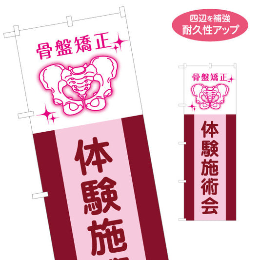 のぼり旗 骨盤矯正 体験施術会 骨盤イラスト入り ピンクワインデザイン 整骨院・整体院 カイロプラクティック向け 名入れ無料 S-1324-5