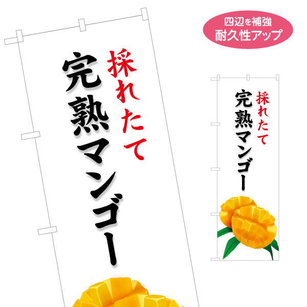 のぼり旗 産地名入れ無料 完熟マンゴー 果実販売店向け S-1447-40