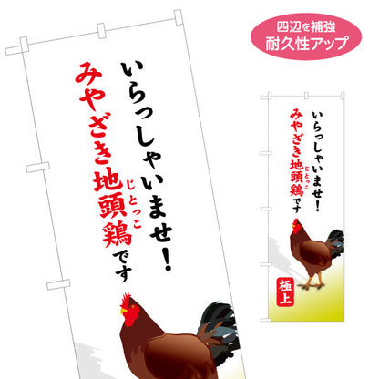 のぼり旗 みやざき地頭鶏 じとっこ （宮崎県・地頭鶏 ） 飲食店向け S-1447-49