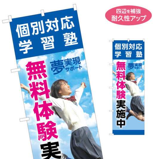 のぼり旗 無料体験実施中 学習塾 個別対応 個人塾 新規開講 生徒募集PR向け 名入れ無料 S-171-130