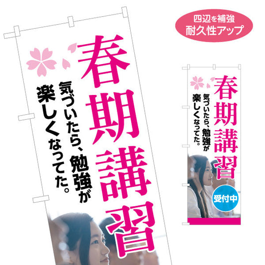 のぼり旗 春期講習 学習塾 受付中 個人塾 新規開講  生徒募集PR向け 名入れ無料 S-171-133