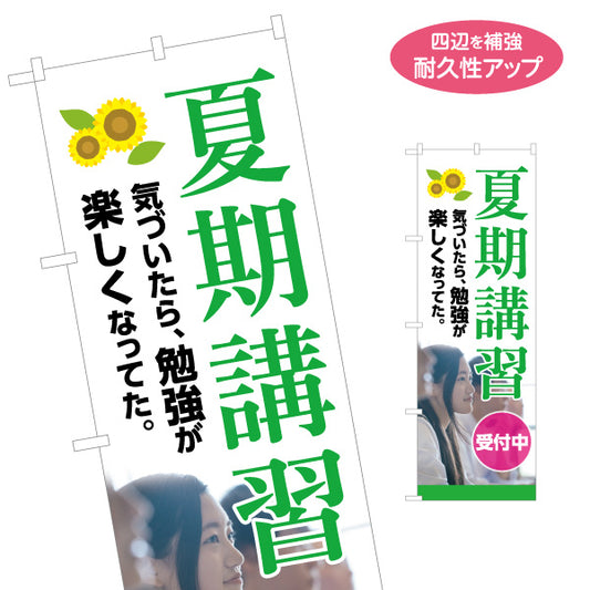のぼり旗 夏期講習 学習塾 受付中 個人塾 新規開講  生徒募集PR向け 名入れ無料 S-171-134