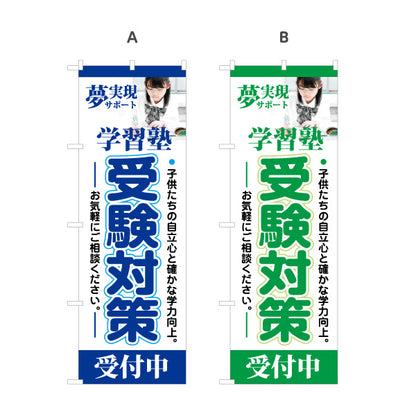 のぼり旗 受験対策 学習塾  個人塾 新規開講 生徒募集PR向け 選べるカラー 名入れ無料 S-171-29