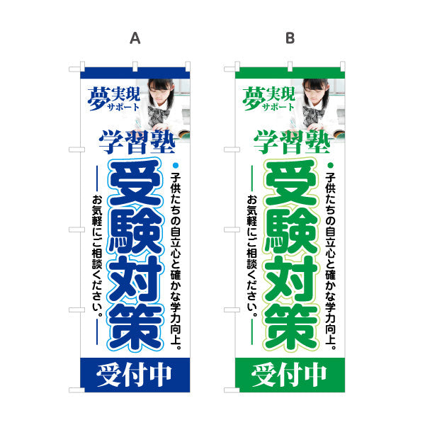 のぼり旗 受験対策 学習塾  個人塾 新規開講 生徒募集PR向け 選べるカラー 名入れ無料 S-171-29