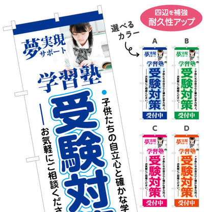 のぼり旗 受験対策 学習塾  個人塾 新規開講 生徒募集PR向け 選べるカラー 名入れ無料 S-171-29