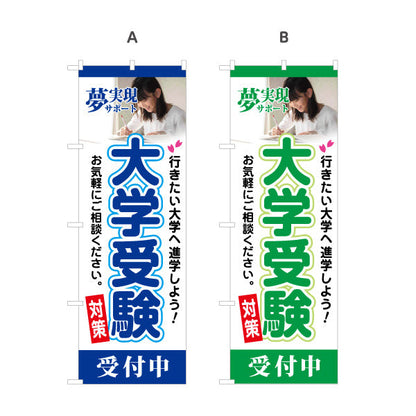 のぼり旗 大学受験 学習塾 個人塾 新規開講 生徒募集PR向け 選べるカラー 名入れ無料 S-171-49