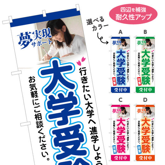 のぼり旗 大学受験 学習塾 個人塾 新規開講 生徒募集PR向け 選べるカラー 名入れ無料 S-171-49