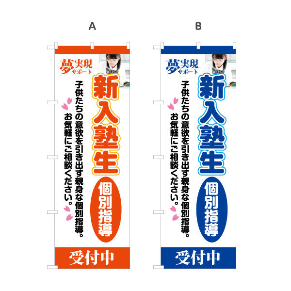 のぼり旗 進入塾生 個別指導 マンツーマン 学習塾 個人塾 新規開講 生徒募集PR向け 選べるカラー 名入れ無料 S-171-62