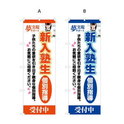 のぼり旗 進入塾生 個別指導 マンツーマン 学習塾 個人塾 新規開講 生徒募集PR向け 選べるカラー 名入れ無料 S-171-62