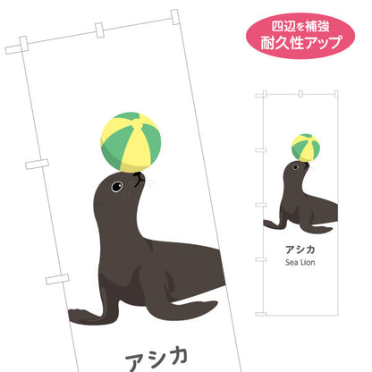 のぼり旗 アシカ sea lion 水族館 動物園 自然公園 動物ふれあい 動物飼育施設向け 名入れ無料 S-1821-60