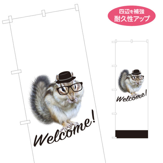 のぼり旗 メガネりす Welcomeデザイン 帽子×眼鏡の可愛いお出迎え動物アート 店舗前・案内・集客PR向け 名入れ無料 S-1912-6