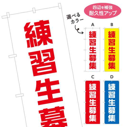 のぼり旗 練習生募集 大きな文字で見やすい縦書きデザイン 人材募集・店舗前PR向け 選べるカラー 名入れ無料 S-192-49