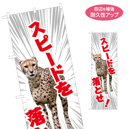 のぼり旗 スピードを落とせ チーター写真入り インパクト大注意喚起デザイン 交通安全PR向け 名入れ無料 S-197-3