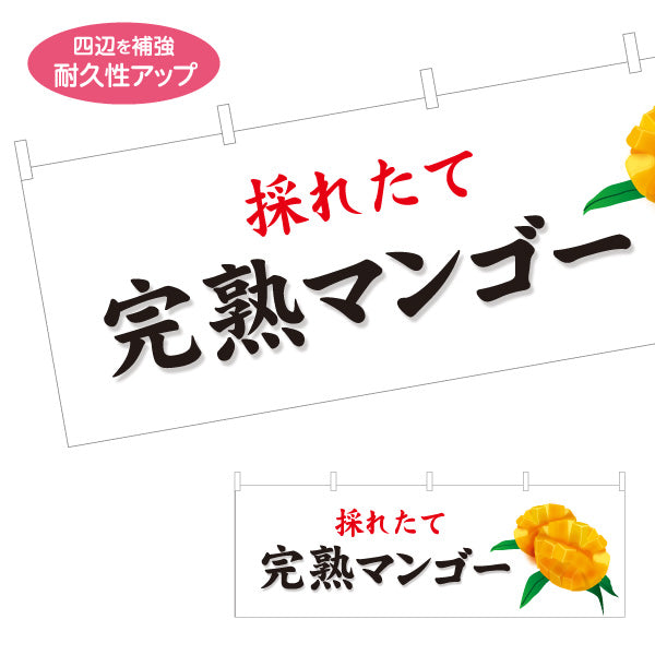 横断幕 採れたて 完熟マンゴー マンゴー まんごー 宮崎マンゴー 沖縄マンゴー 南国フルーツ 果物店 青果店 直売所 店舗販促 テトロンポンジ ターポリン素材 S-4447-40