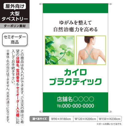 タペストリー カイロプラクティック ゆがみ改善 自然治癒力アップ 背中写真入り グリーンデザイン 整骨院・整体院・PR向け 名入れ無料 セミオーダー商品 ターポリン素材 屋外使用可 S-5324-3
