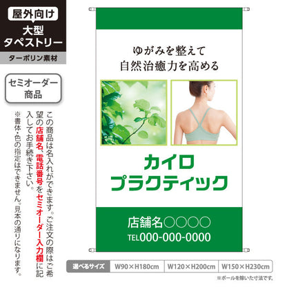 タペストリー カイロプラクティック ゆがみ改善 自然治癒力アップ 背中写真入り グリーンデザイン 整骨院・整体院・PR向け 名入れ無料 セミオーダー商品 ターポリン素材 屋外使用可 S-5324-3