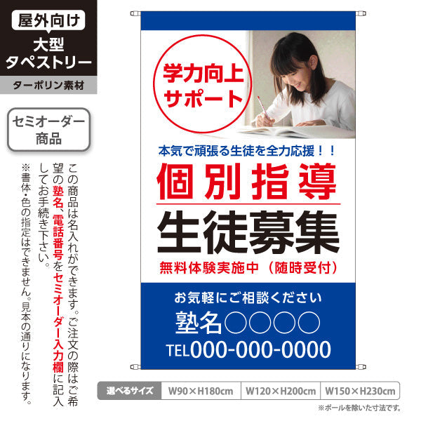 タペストリー 個別指導 学習塾 生徒募集 個人塾 新規開講  生徒募集PR向け 青 名入れ無料 セミオーダー商品 ターポリン素材 屋外使用可 S-571-5