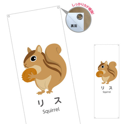 バナー幕 リス りす squirrel 動物園 自然公園 動物ふれあい 動物飼育施設向け ターポリン素材 S-9821-27