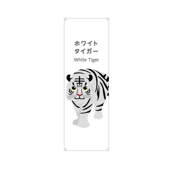 バナー幕 ホワイトタイガー white tiger 動物園 自然公園 動物ふれあい 動物飼育施設向け ターポリン素材 S-9821-44